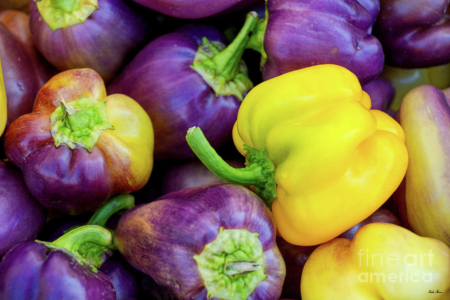 Yellow and Purple Peppers Photograph by Charles Abrams