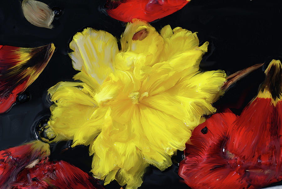 Yellow And Red Flower Painting  Painting by Don Wright