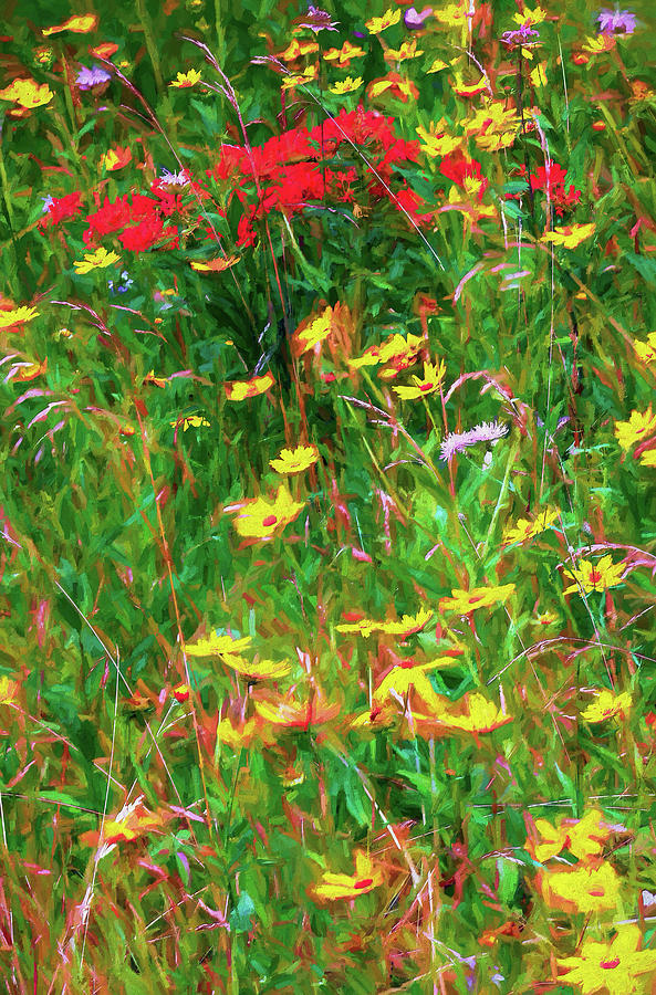 Yellow and Red Flowers in the Blue Ridge AP Painting by Dan Carmichael