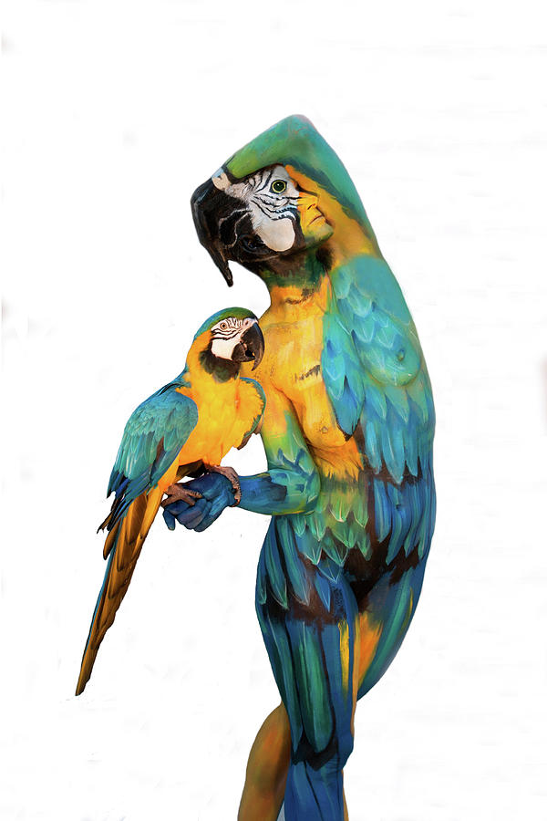 Macaw Painting - Yellow Ara by Johannes Stoetter