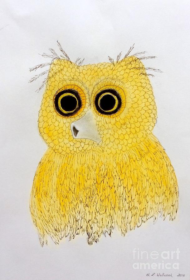 Yellow baby owl  Pastel by Natalia Wallwork