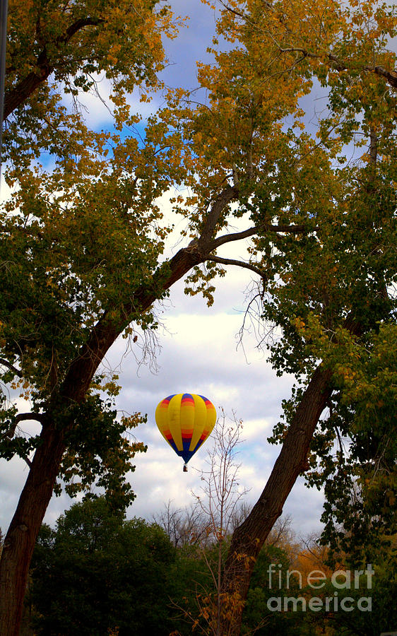 Fall Photograph - Yellow Balloon in the Wild by Anjanette Douglas