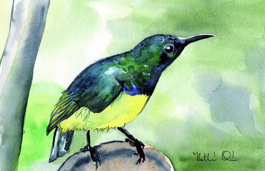 Yellow Bellied Sunbird Painting by Dora Hathazi Mendes