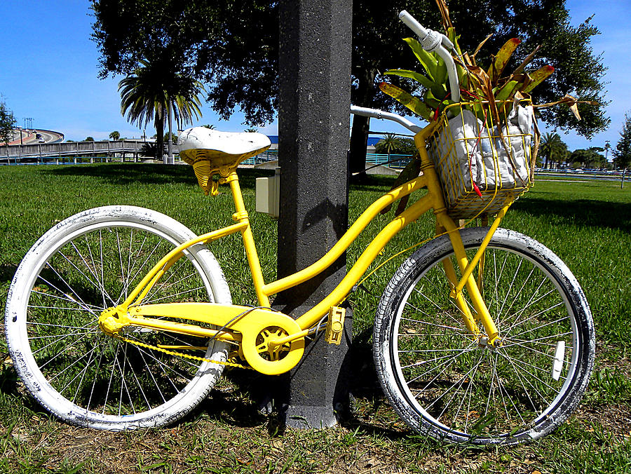 Yellow Bicycle Photograph by Christopher Mercer