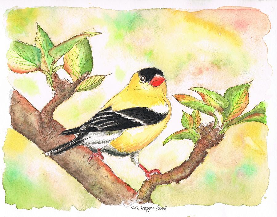 American Goldfinch Painting by Carlos G Groppa