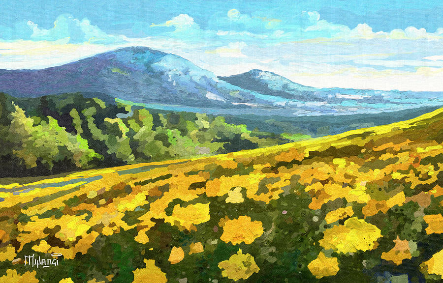 Yellow Blanket Painting