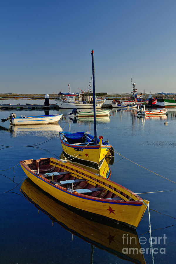 yellow boats Santa Luzia Photograph by Mikehoward Photography