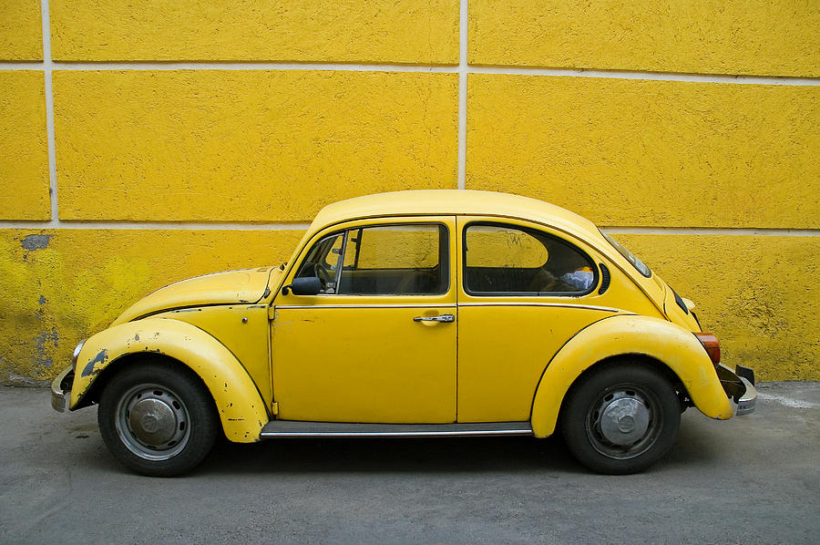 Yellow Bug Photograph by Skip Hunt