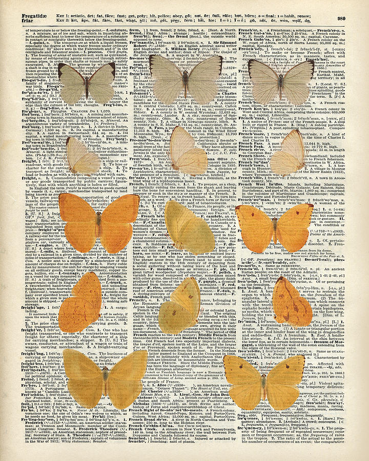 Yellow Butterflies Drawing - Yellow butterflies over dictionary book page by Anna W