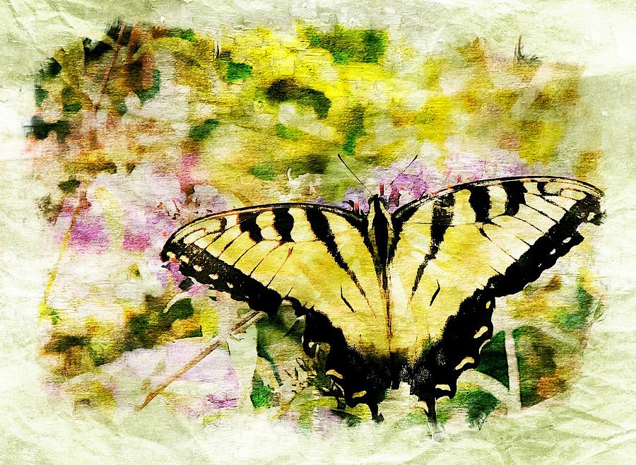 Yellow Butterfly Digital Art by Ches Black