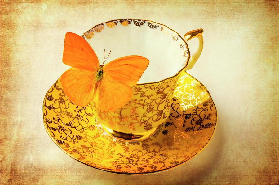 Yellow Butterfly On Yellow Tea Cup Photograph by Garry Gay