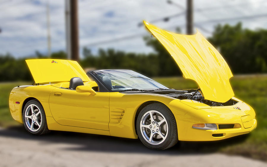 Yellow Chevrolet Corvette Photograph by Bob Slitzan