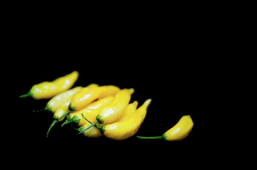 Yellow Chillies on a Black Background Photograph by Helen Jackson