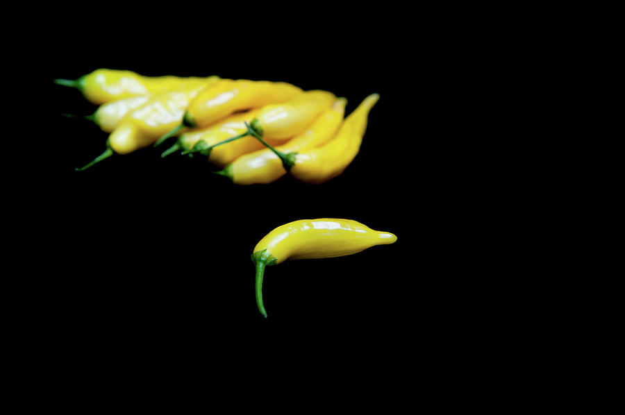 Yellow Chillies on a Black Background ii Photograph by Helen Jackson