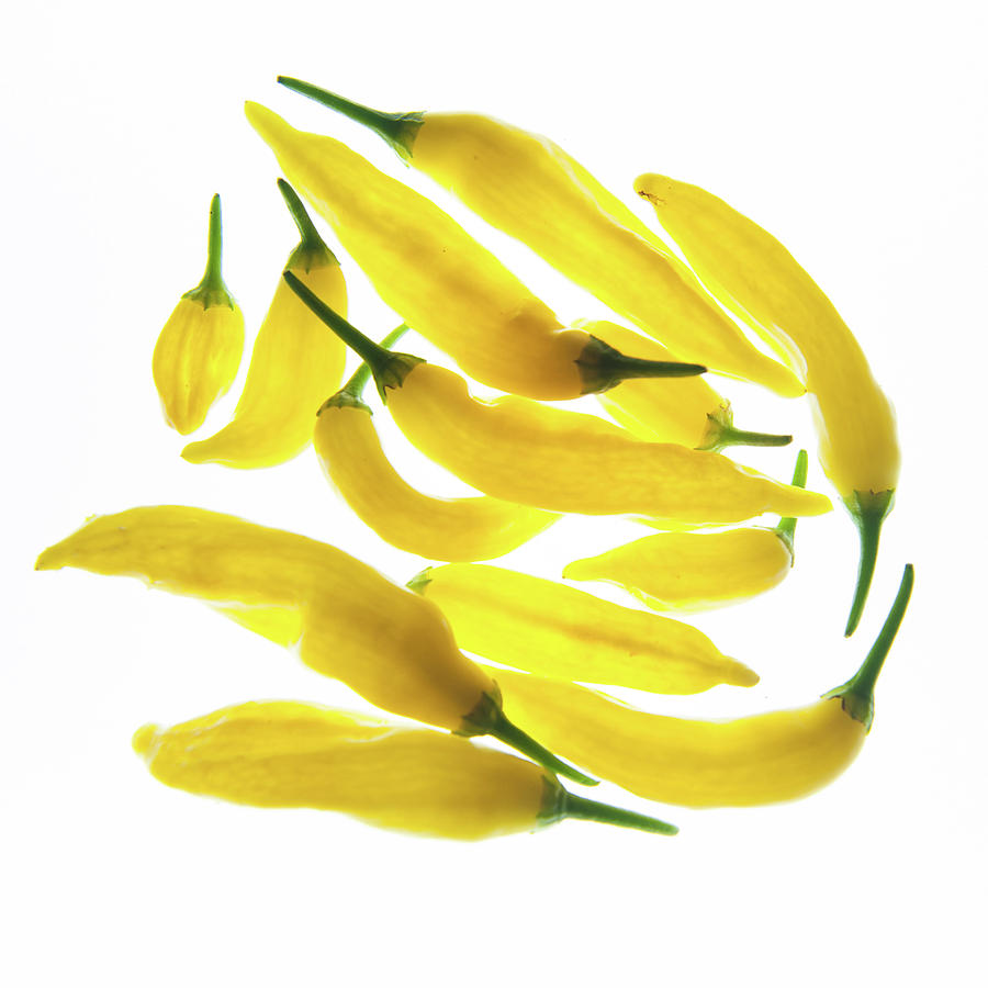 Yellow Chillies on White Background Photograph by Helen Jackson