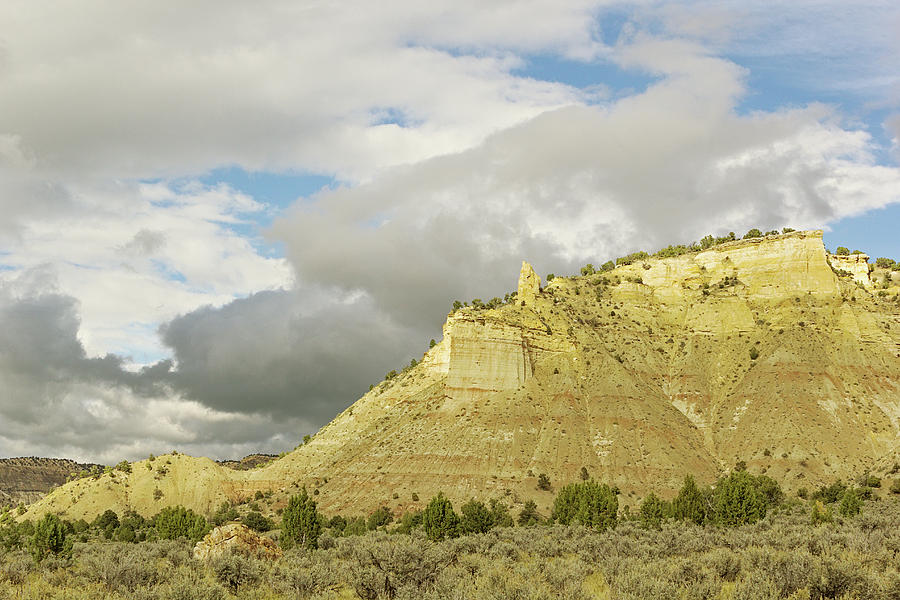 Desert Photograph - Yellow Cliffs by Peter J Sucy