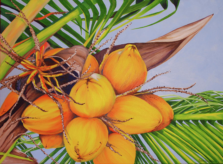 Yellow Coconuts Painting by Barbara Carswell - Fine Art America