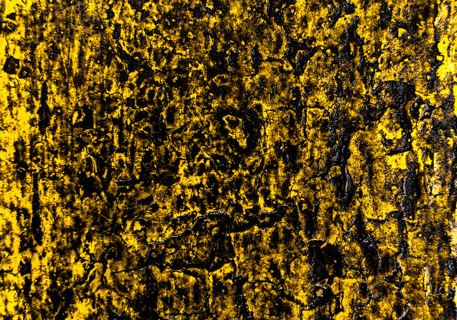 Yellow Color Abstract Wood and Rain Water Photograph by John Williams