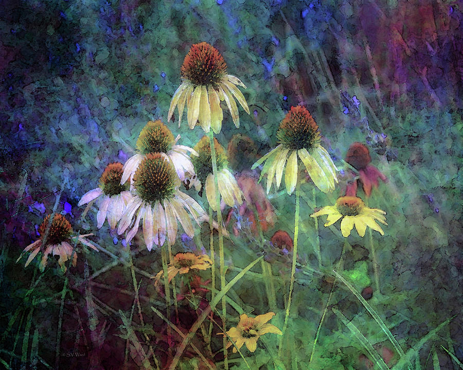 Yellow Coneflowers and Sage 1631 IDP_2 Photograph by Steven Ward