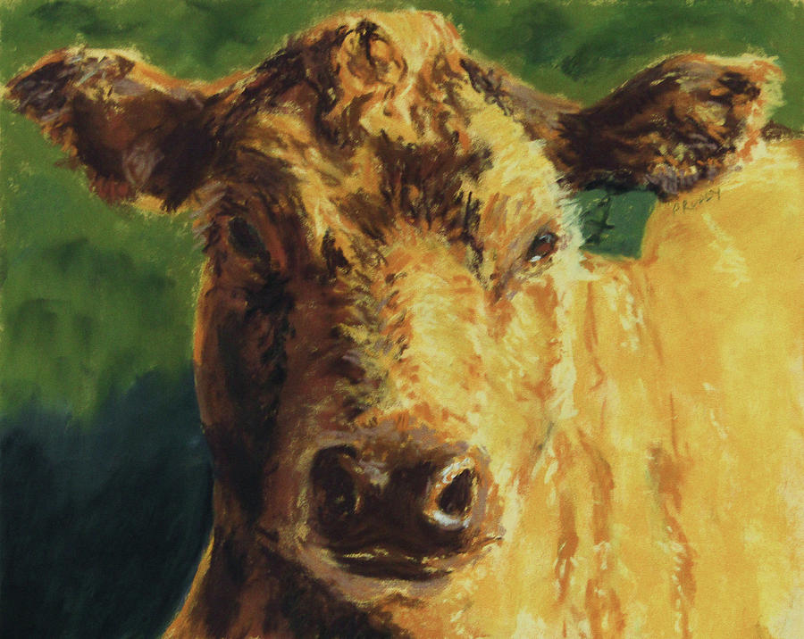 Cow Pastel - Yellow Cow by Pamela Ruddy