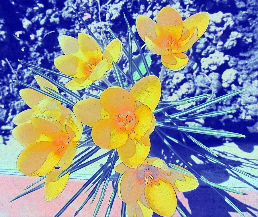  Yellow crocuses 2 Digital Art by Vesna Martinjak