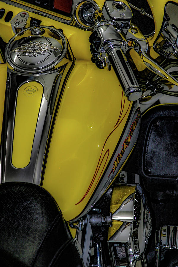 Yellow Custom 7031 H_2 Photograph by Steven Ward