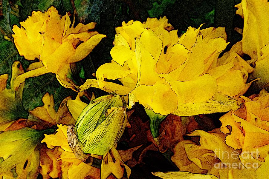 Yellow Daffodils 6 Digital Art by Jean Bernard Roussilhe