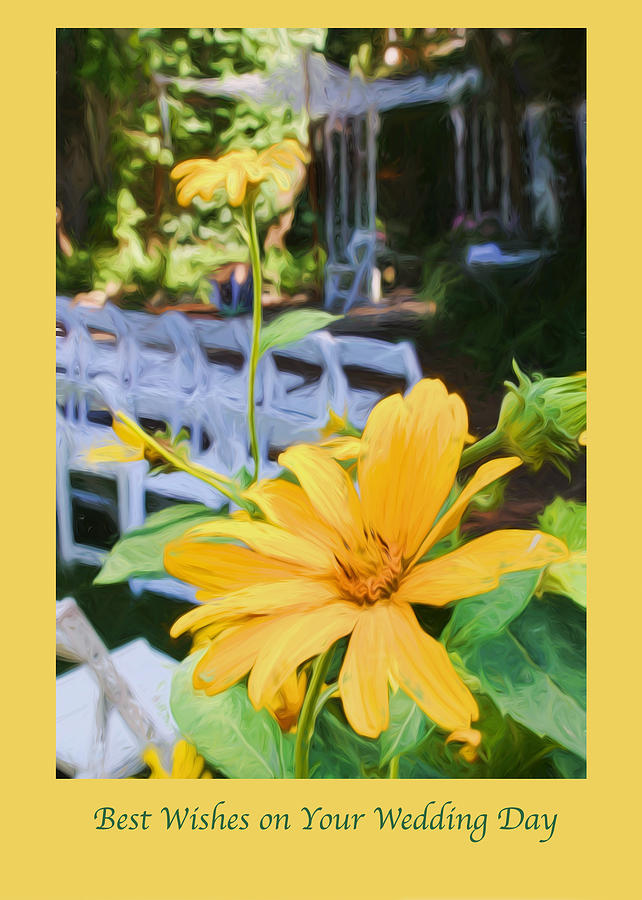 Yellow Daisies at Wedding Greeting Card Photograph by Ginger Wakem