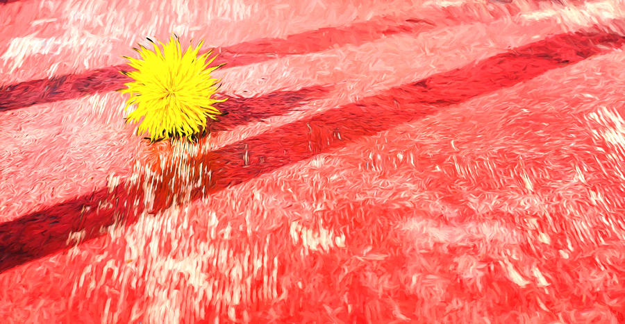 Yellow Dandelion on Red Oil Painting Fusion Photograph by John Williams