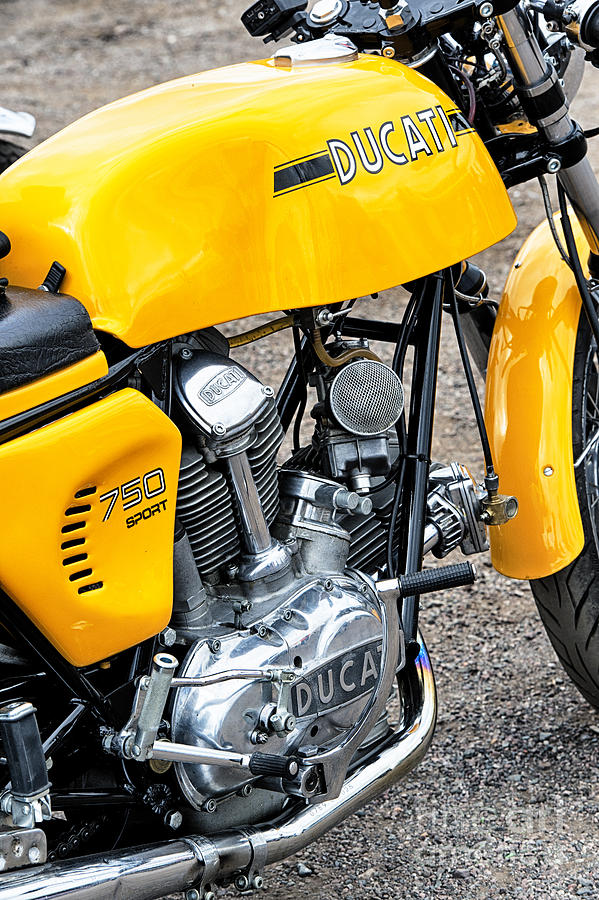 Yellow Ducati Photograph by Tim Gainey