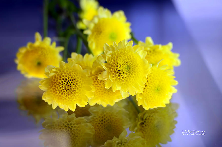 Yellow Easter Flowers Photograph by Julie Everhart Fine Art America