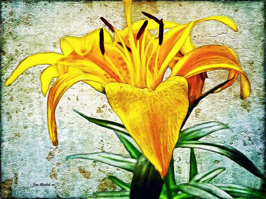 Lily Photograph - Yellow Easter Lily by Joan Minchak Lily Photograph - Yellow Easter Lily by Joan Minchak