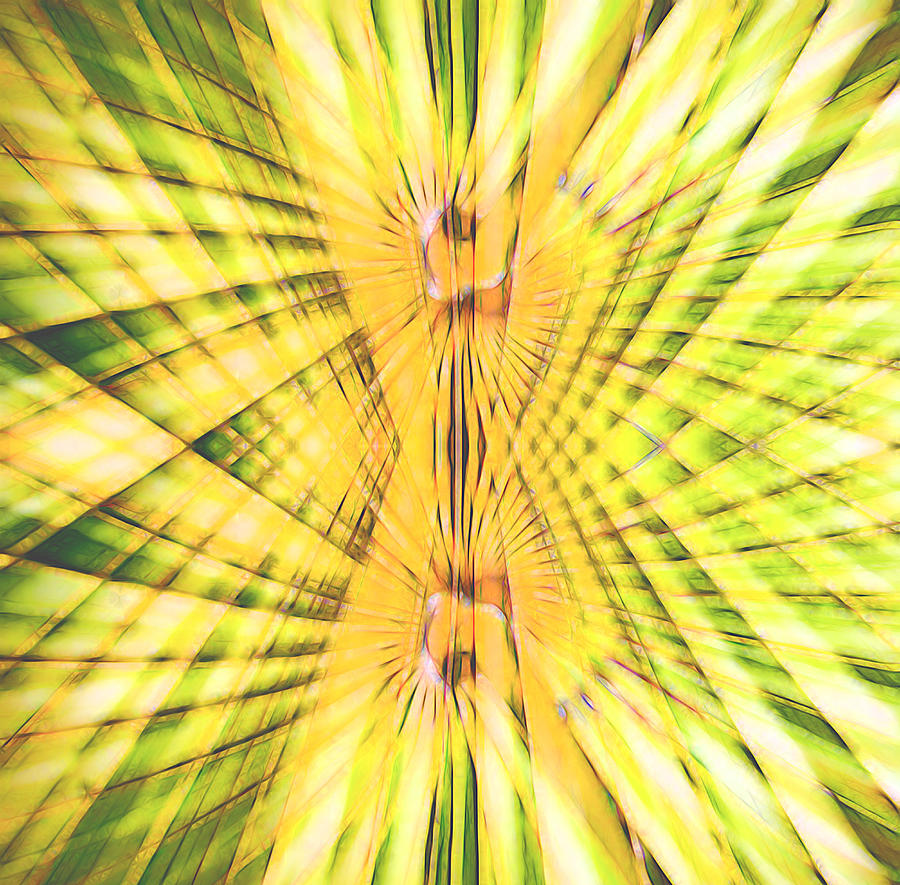 Yellow Explosion Digital Art by Cathy Anderson