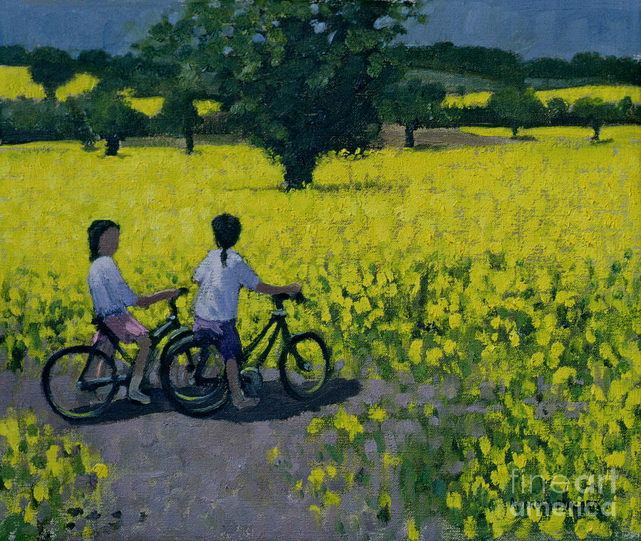Yellow Field, Kedleston, Derby Painting by Andrew Macara