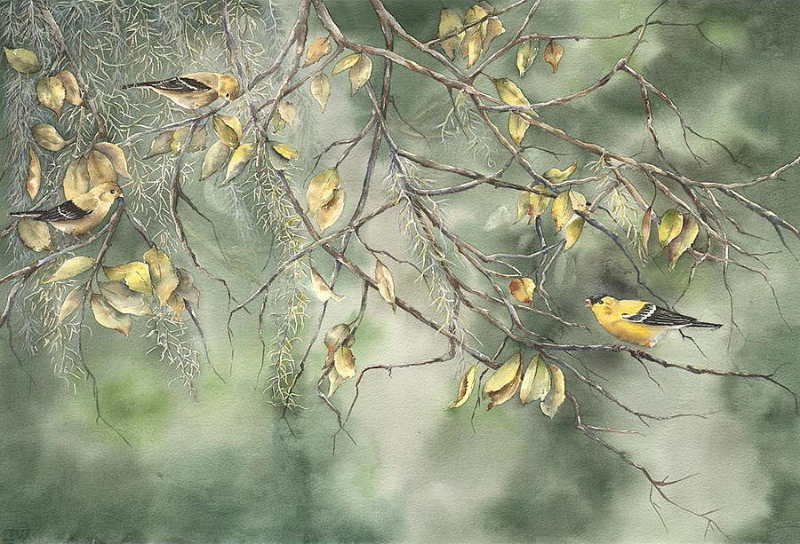 Yellow Finch Painting by Mary McCullah