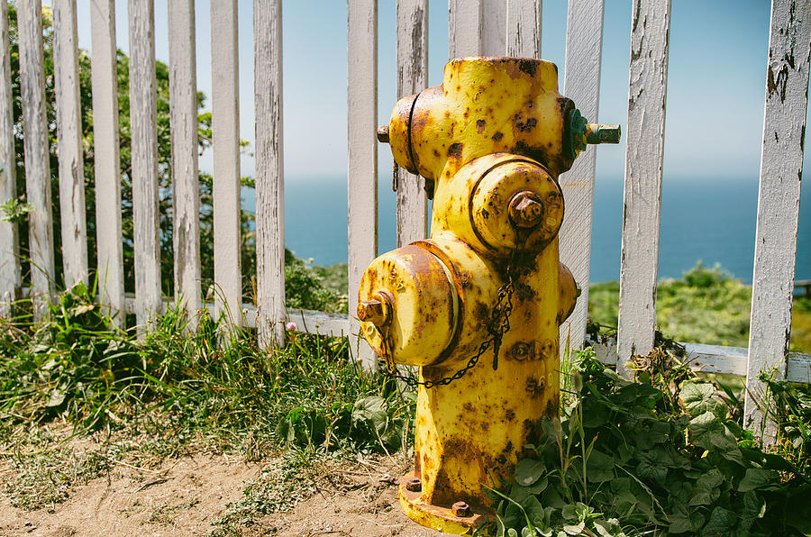 Yellow Fire Hydrant at Point Reyes National Seashore in Northern California Photograph by Brian Ball