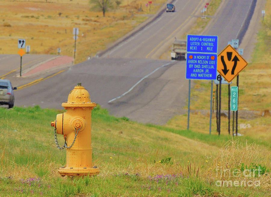 Yellow Fire Plug ver 2 Photograph by Larry Mulvehill