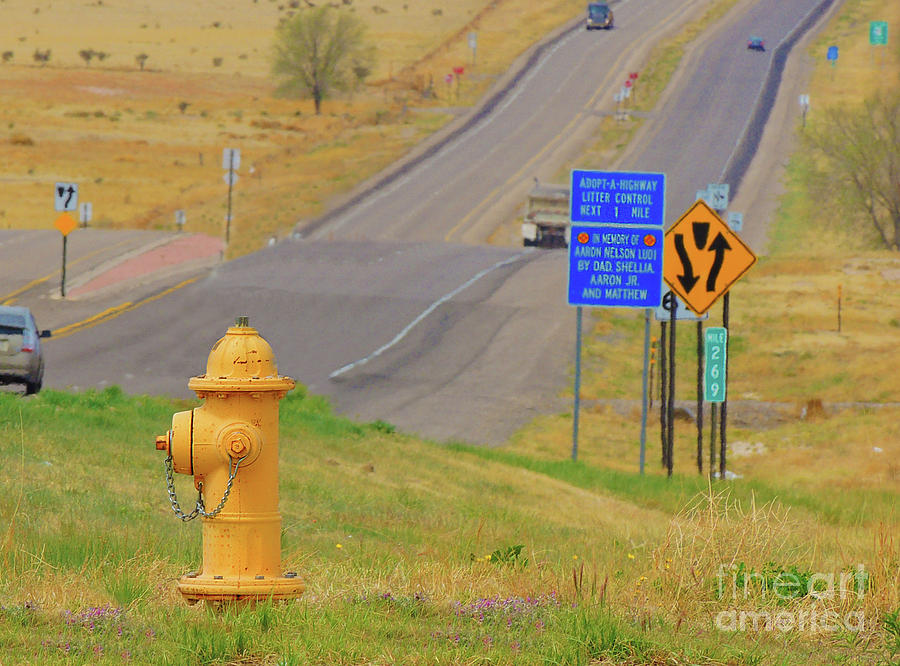 Yellow Fire Plug ver 4 Photograph by Larry Mulvehill