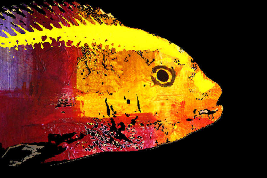 Yellow Fish Abstract Digital Art by Nancy Merkle