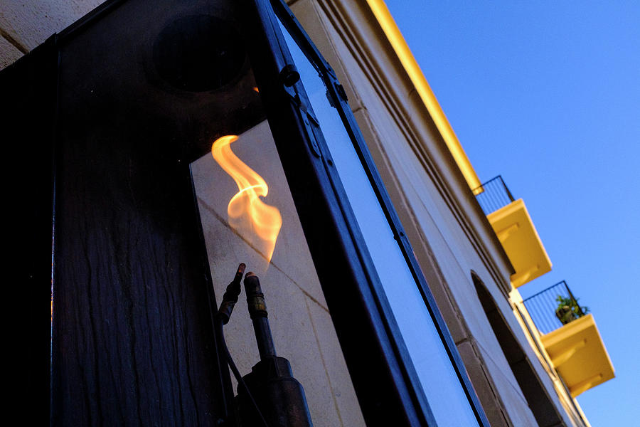 Yellow Flames And Blue Sky In Winter Park Florida by John McLenaghan Yellow Flames And Blue Sky In Winter Park Florida by John McLenaghan