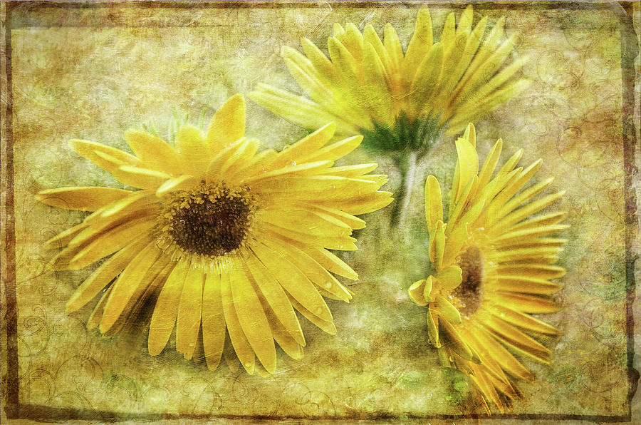 Yellow Floral Photograph by Susan McMenamin