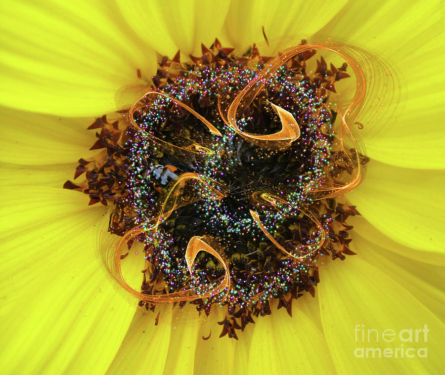 Yellow Floral Whizz Photograph