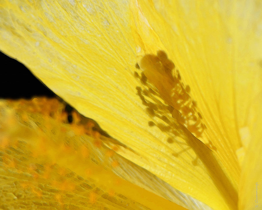Yellow Flower - Hibiscus Shadow - Sharon Cummings Painting by Sharon Cummings