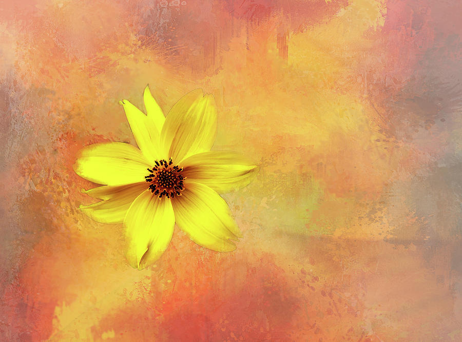 Yellow Flower on Pastels Digital Art by Terry Davis