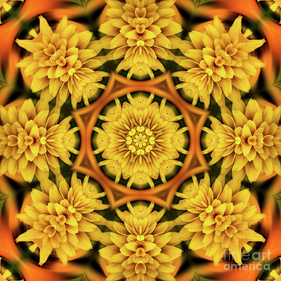 Yellow Flower Petals Abstract Digital Art by Smilin Eyes Treasures