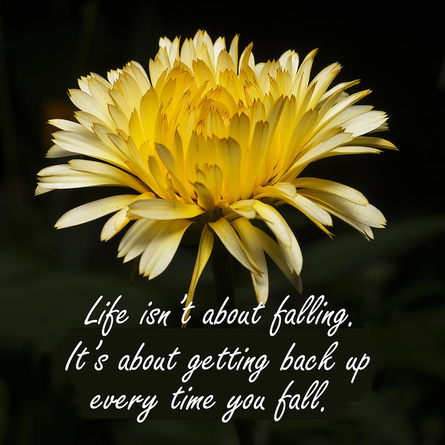 Nature Photograph - Yellow Flower with Inspirational Text by Donald  Erickson