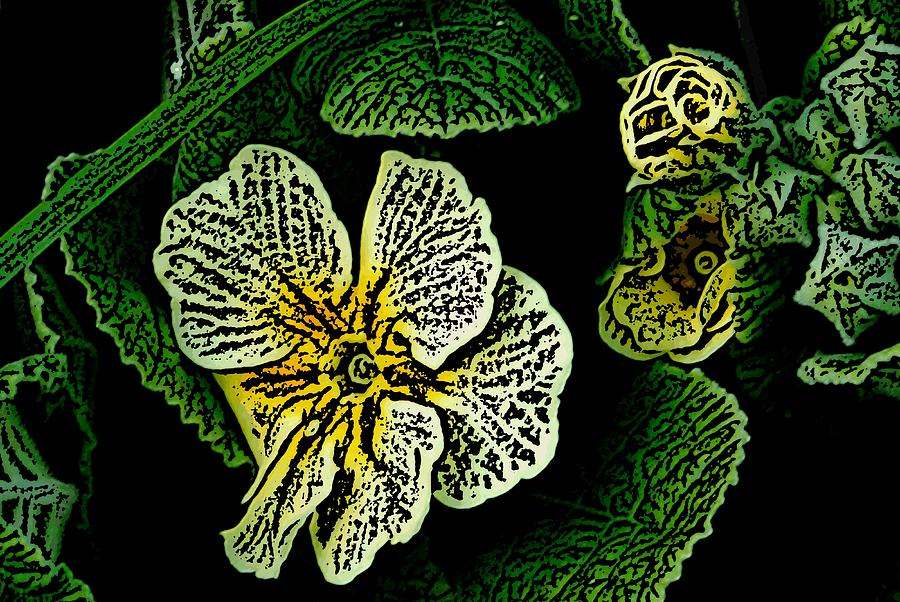 Yellow Flower Woodcut Digital Art by David Lane