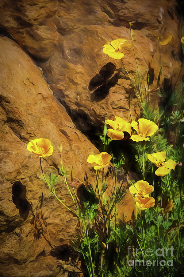 Yellow Flowers And Rock Photograph by Jon Burch Photography