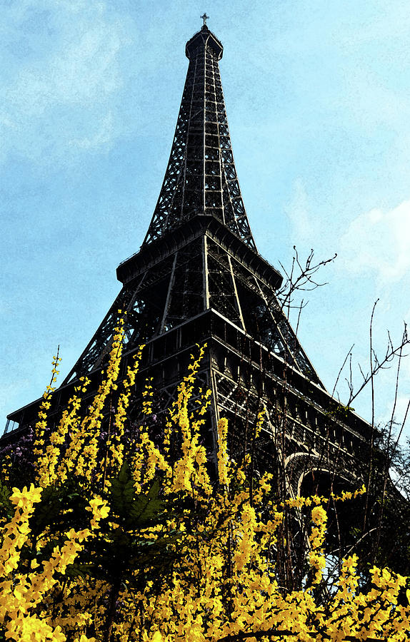 Yellow Flowers Blooming Beneath the Eiffel Tower Springtime Paris France Fresco Digital Art Digital Art by Shawn OBrien