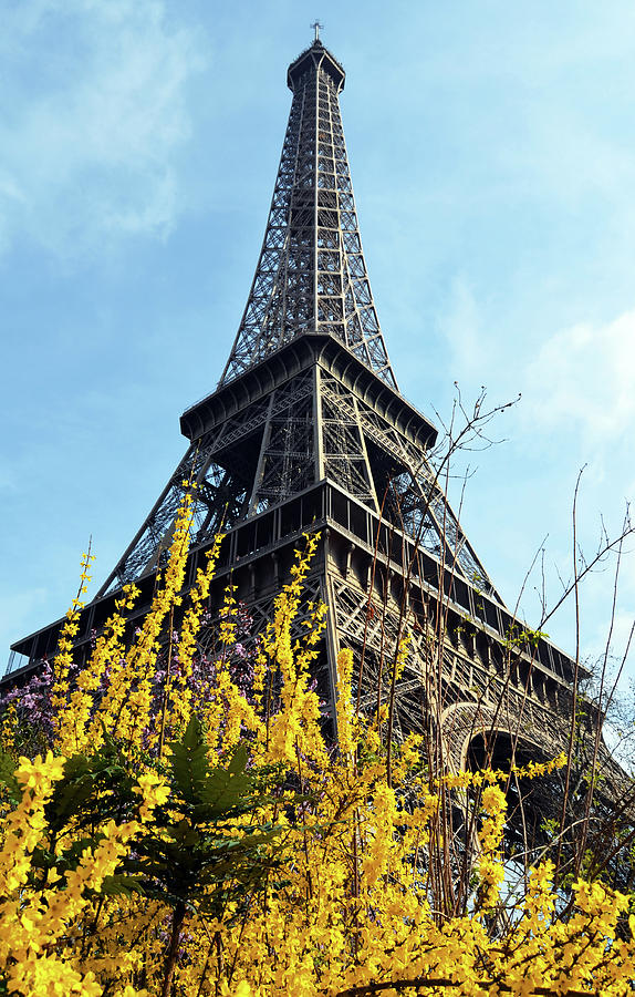 Yellow Flowers Blooming Beneath the Eiffel Tower Springtime Paris France Photograph by Shawn OBrien